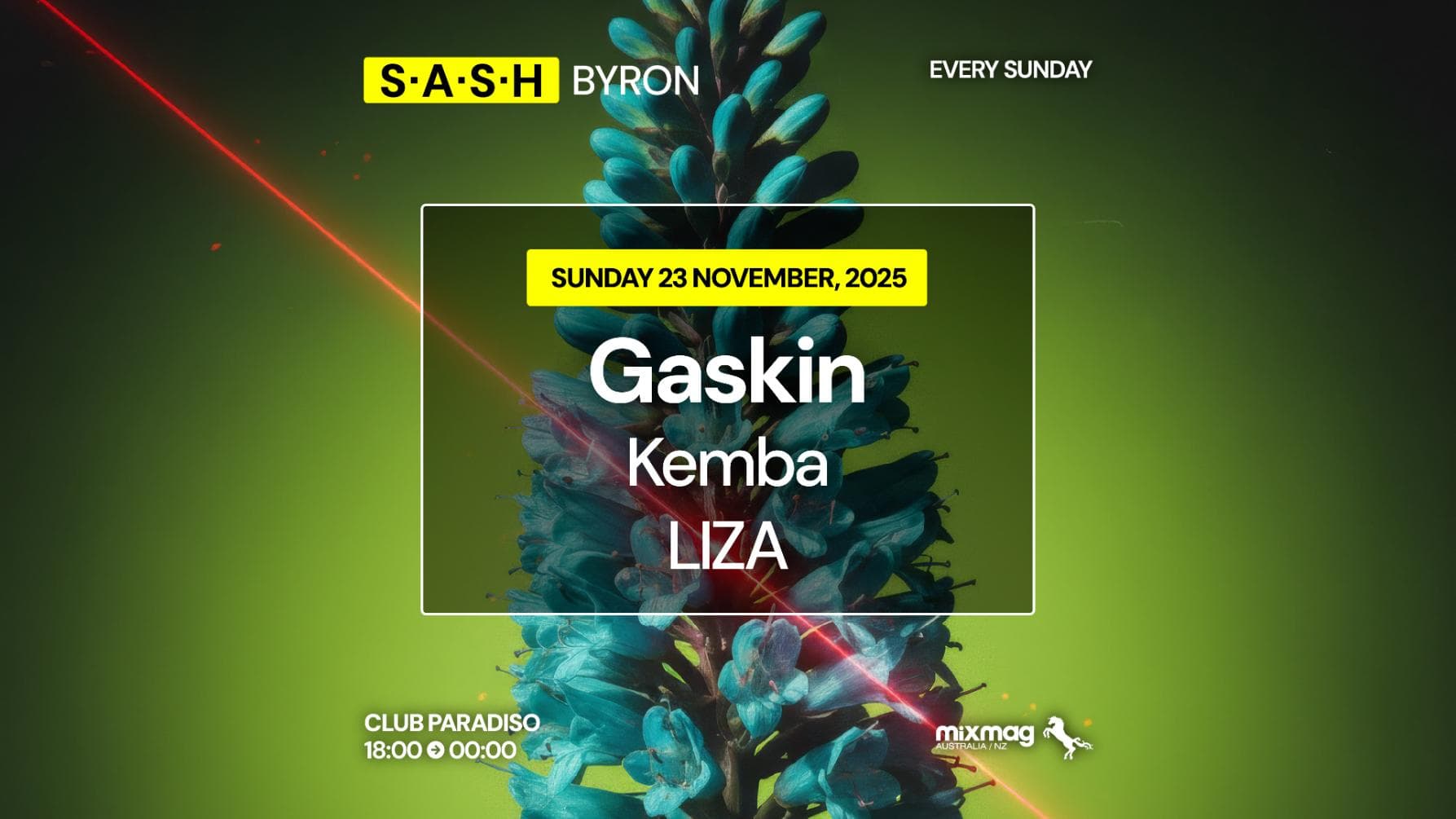 ★ S.A.S.H Byron ★ Gaskin ★ Sunday 23rd November ★
